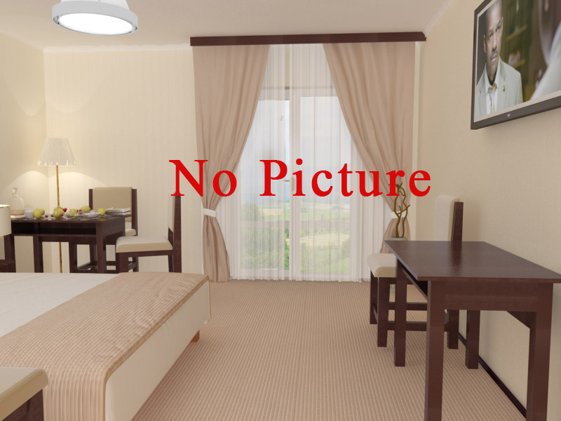 + доп. место в Гостинице Идеал