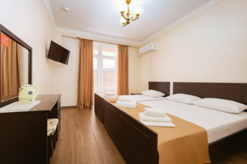 Трёхместный полулюкс в Гостинице Идеал