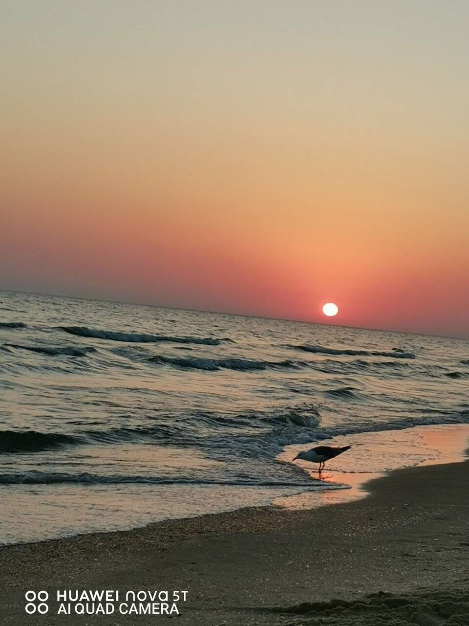 Фото Гостиницы Идеал Анапа 220