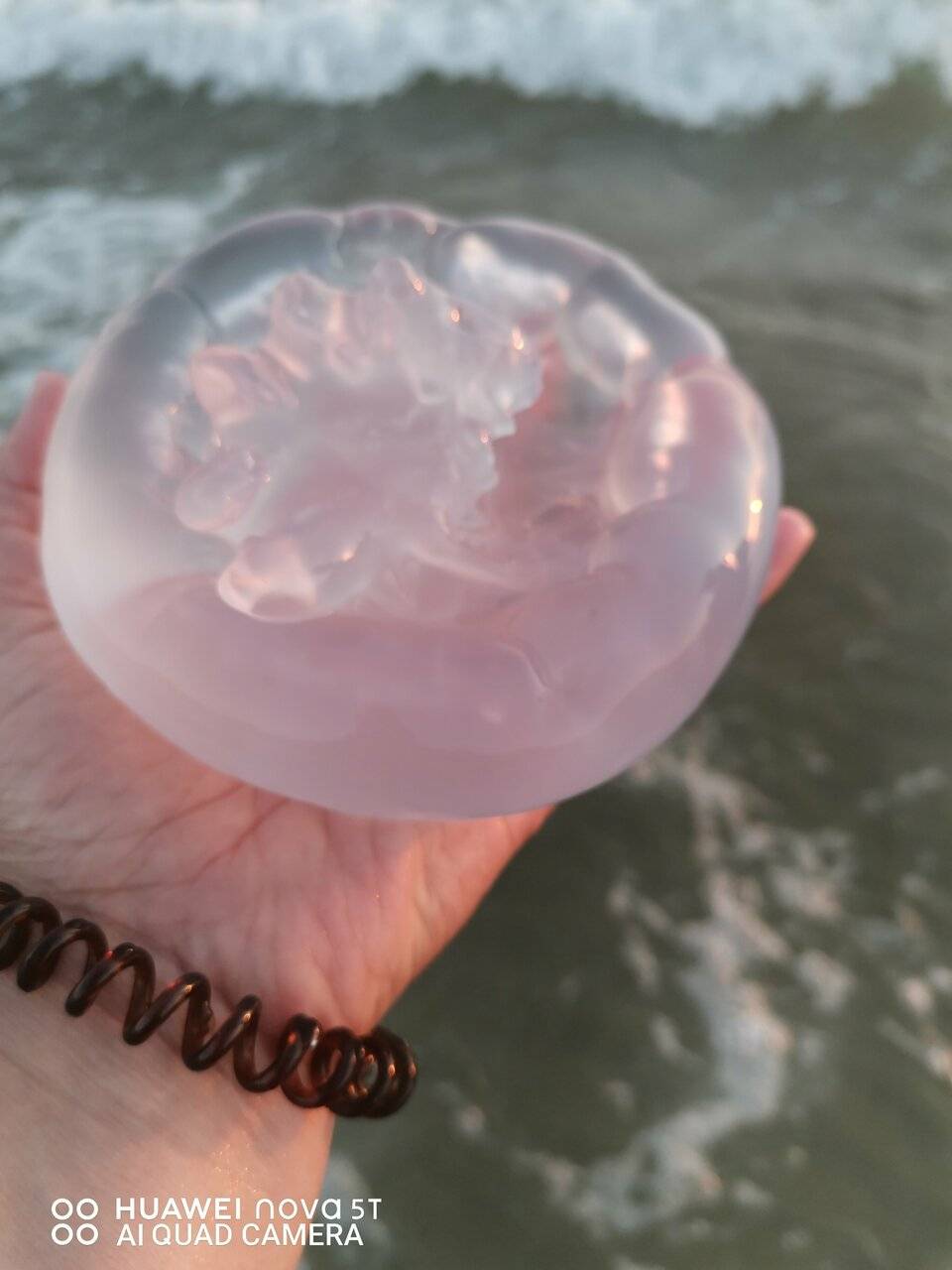 Фото Гостиницы Идеал Анапа 215