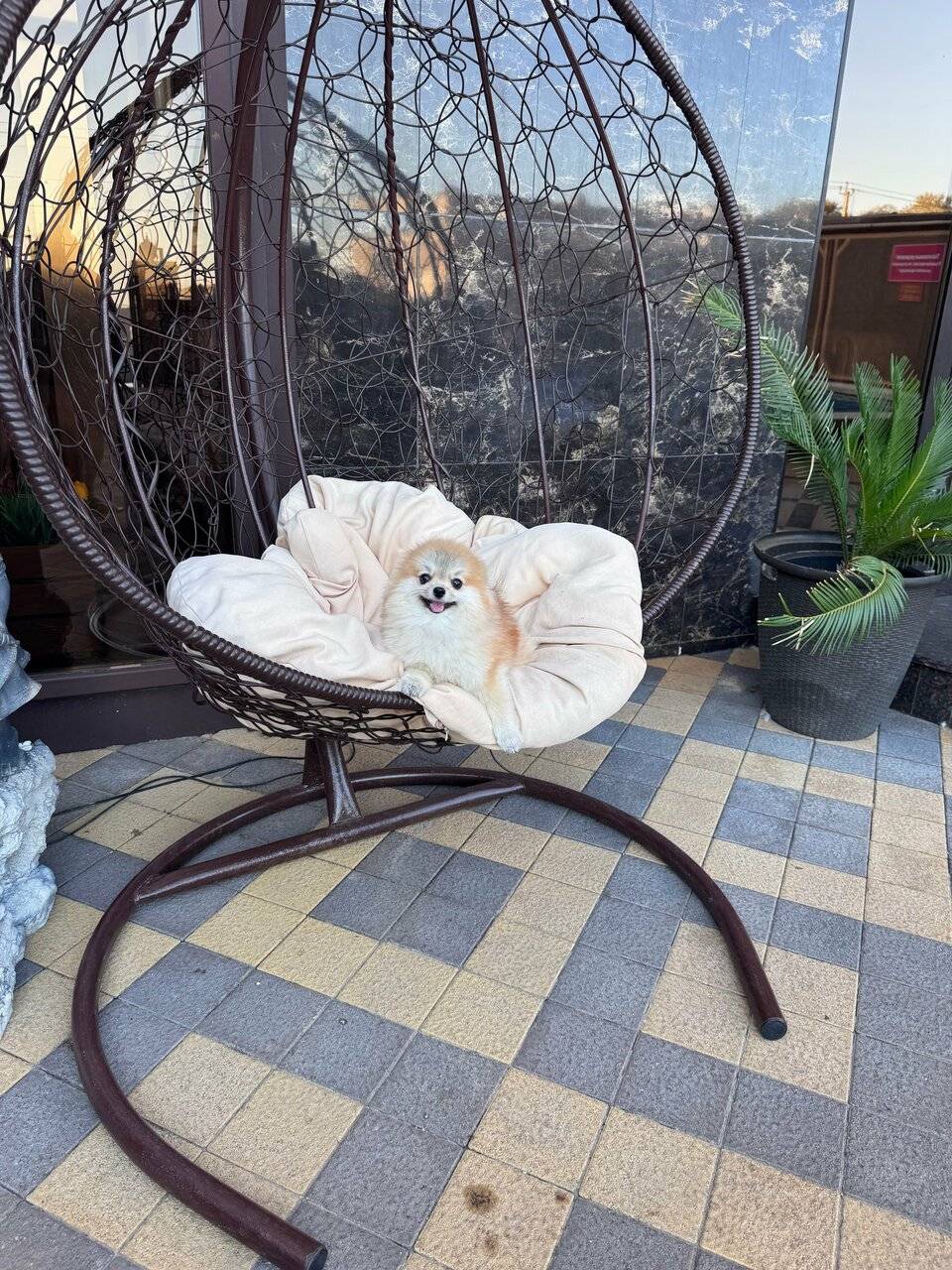 Фото Гостиницы Идеал Анапа 212