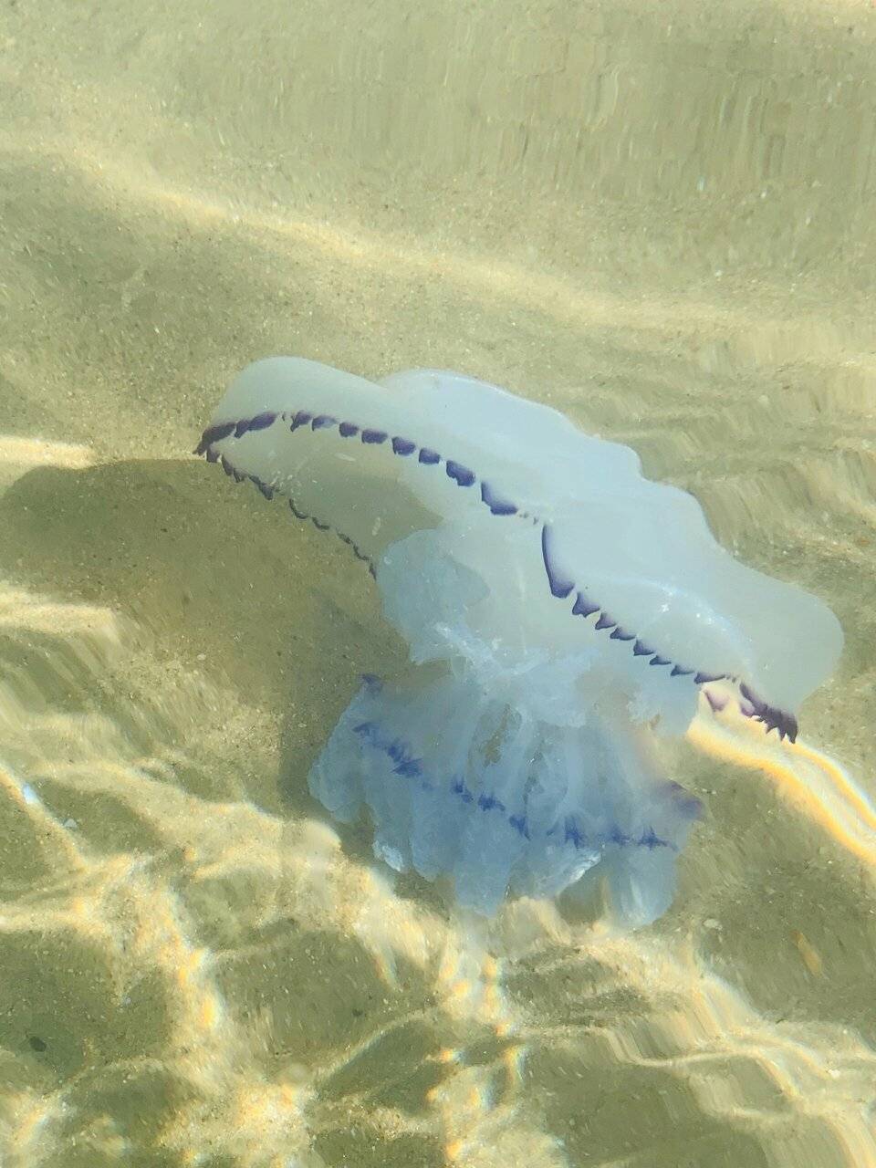 Фото Гостиницы Идеал Анапа 209